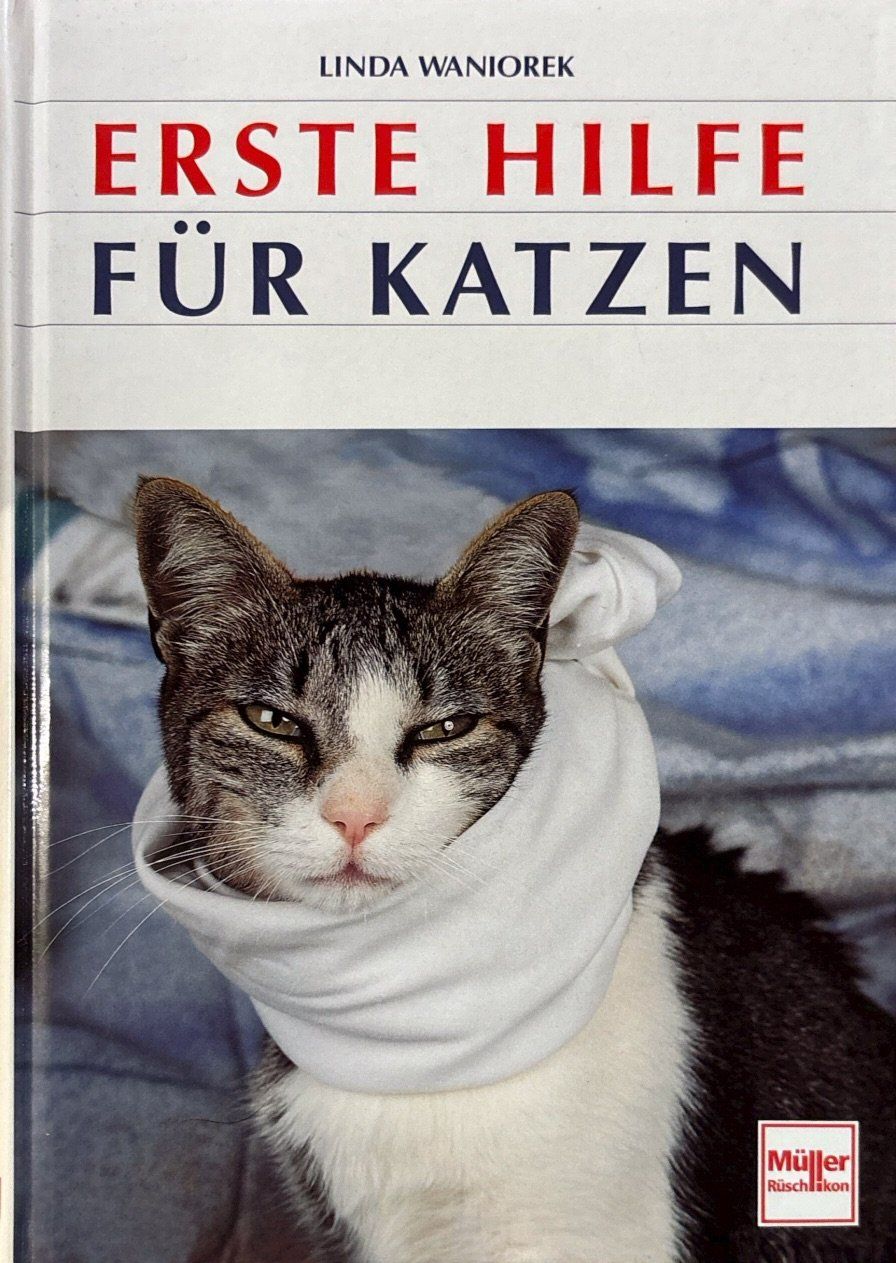 Libri: Erste Hilfe für Katzen – Nuovo (secondo la descrizione) da Sarnen venduto da Livres