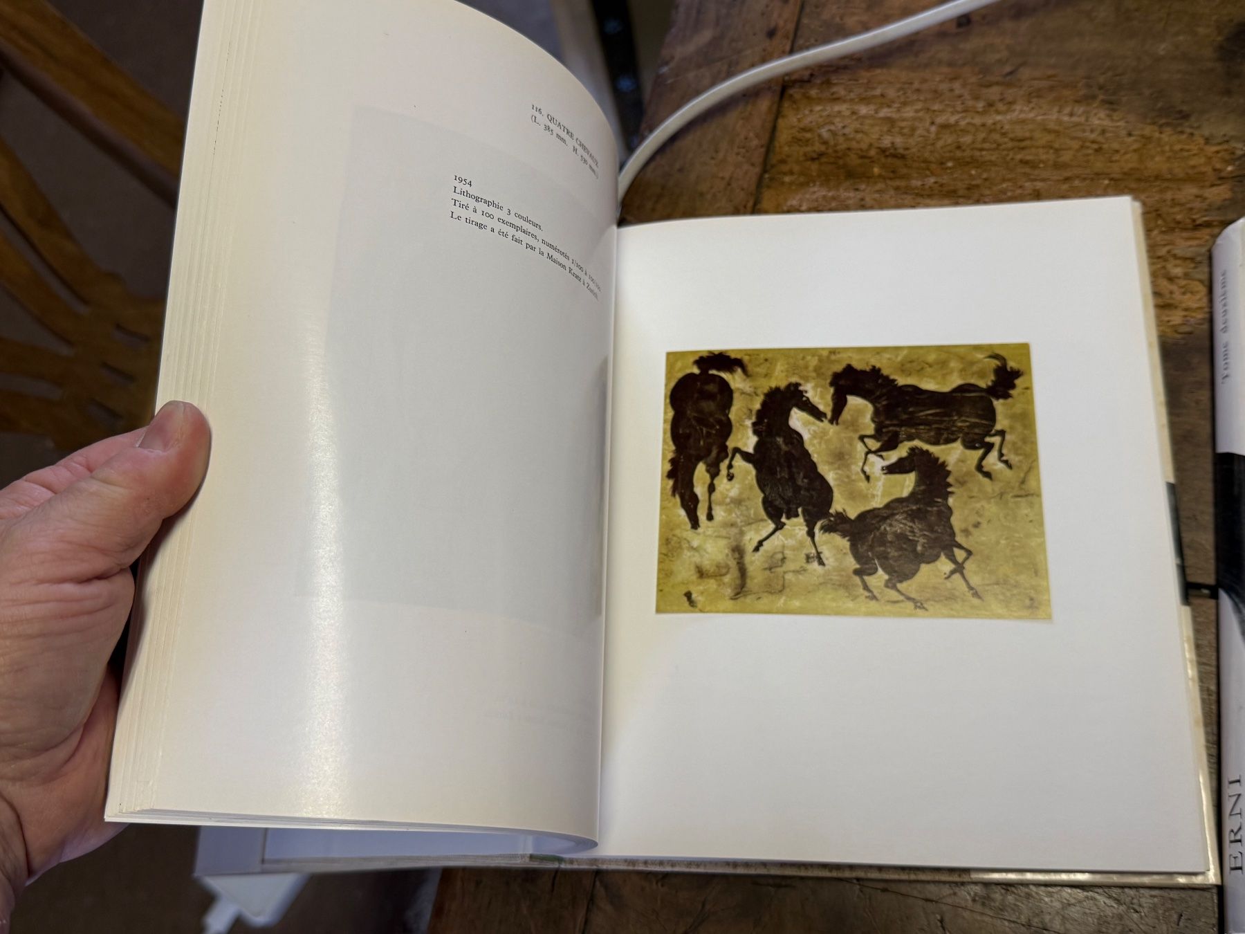 Libri: ERNI Hans Pierre CAILLER 2 Bände – Usato da Bern venduto da Jwpm66 8
