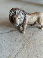Schleich Löwe, gebraucht, Top Zustand, Tier Sammlerstück