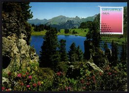 MK Farben der CH - Alpenrosenrot, Diemtigtal Berner Oberland
