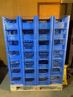 Kunststoffkisten 54STK.! BITO XL 4322 Eurobehälter ab 1.-