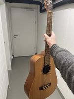Cort Earth Mini Gitarre (Western, Akustik)