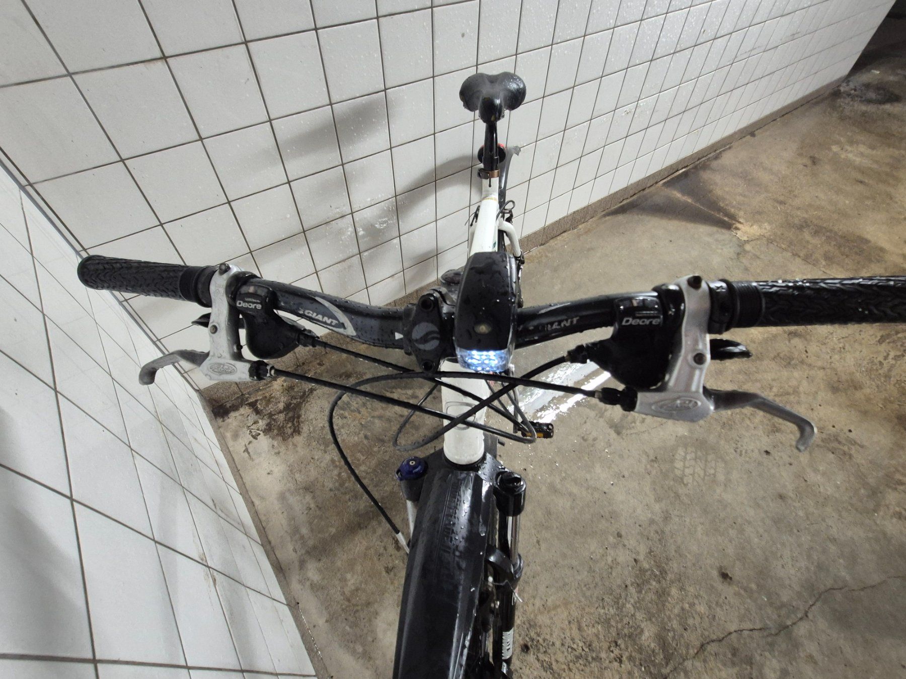 Giant Biciclette: Giant Terrago 26 Zoll MTB – Usato da Steffisburg venduto da fridii 4
