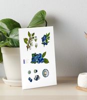 Karte Druck Print von Handgemalte Botanisch Blaubeere