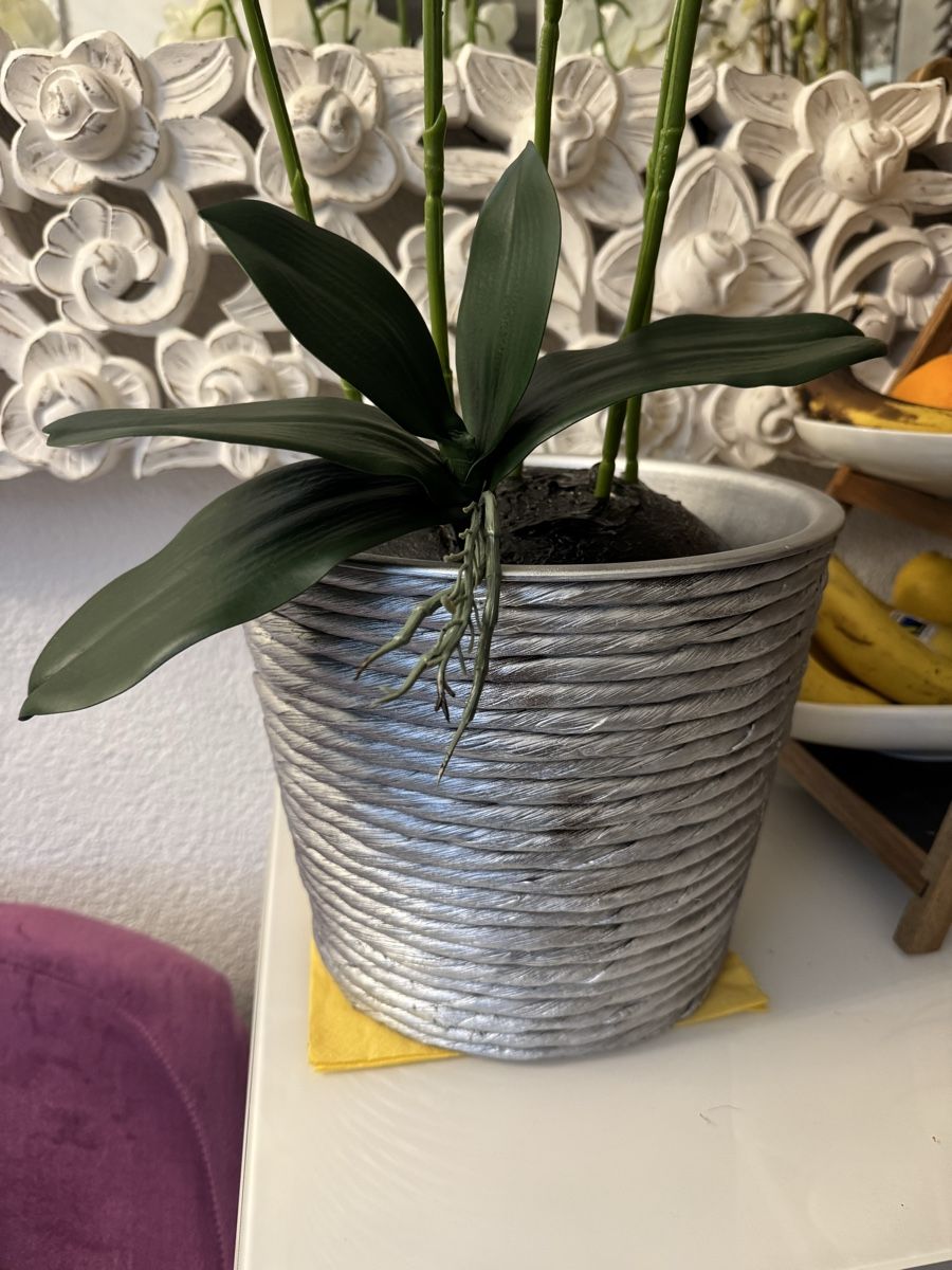 Alle Dekorationen: Künstliche Orchideen New – Neu (gemäss Beschreibung) aus Zürich von Privat4444 4