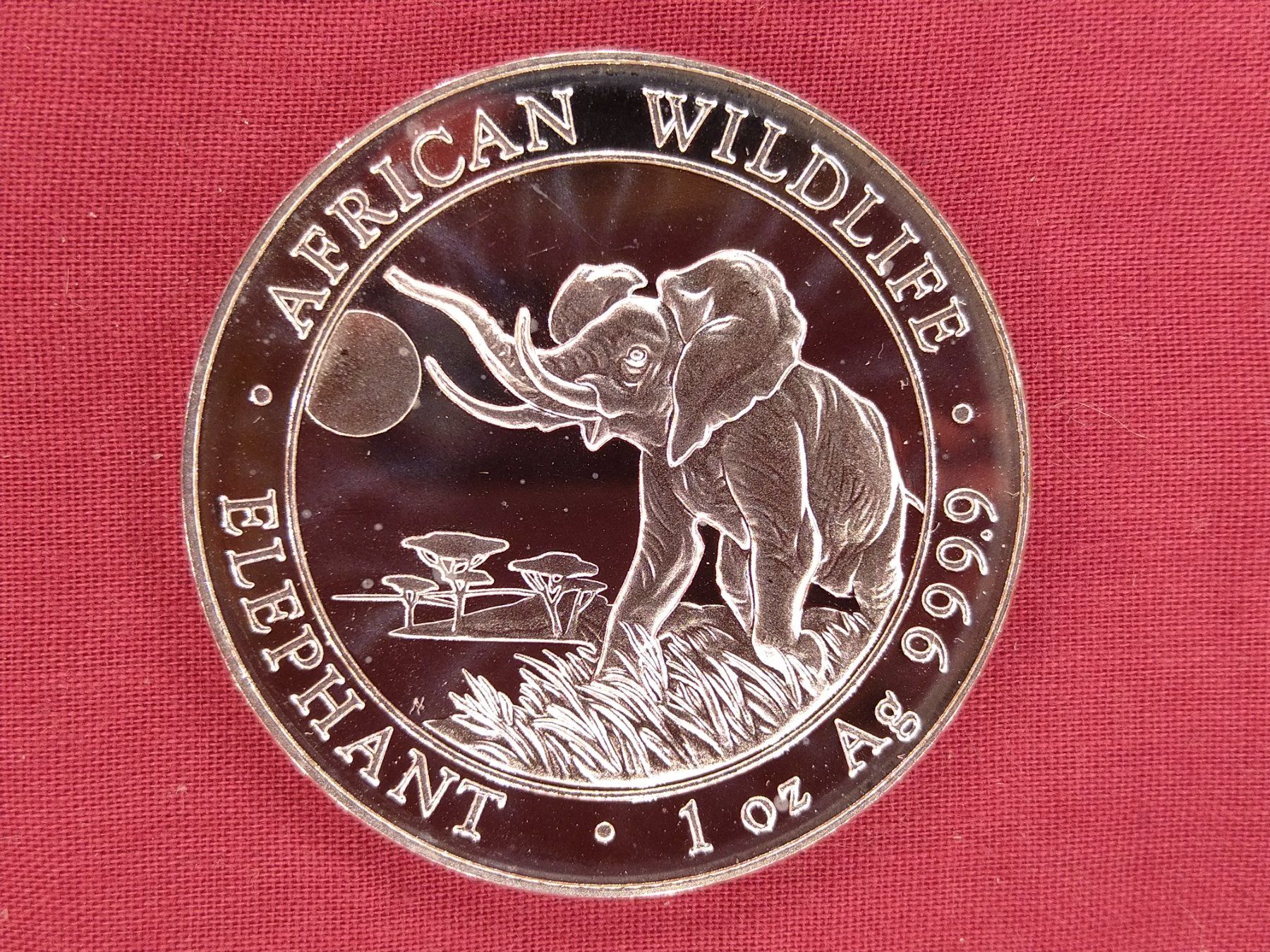 Tutti le monete: 1Unze Silber 999 - Somalia Elephant 2016 – Nuovo (secondo la descrizione) da Dättlikon venduto da Quarz58 1