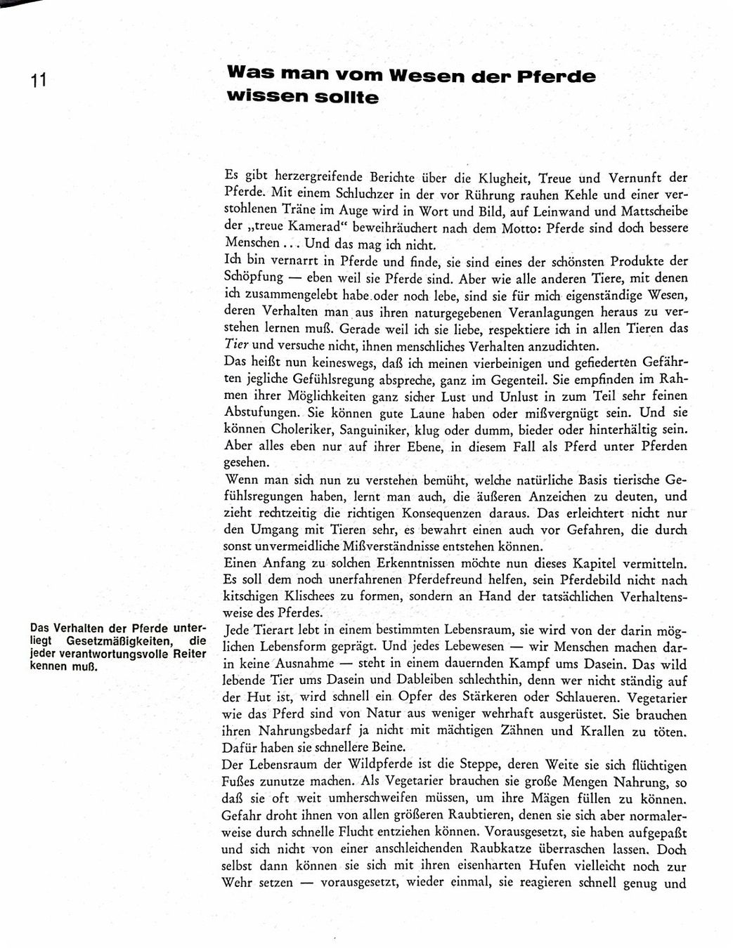 Libri: Fiedelmeier Leni, Pferde Freizeit Sport – Nuovo (secondo la descrizione) da Sarnen venduto da Livres 4