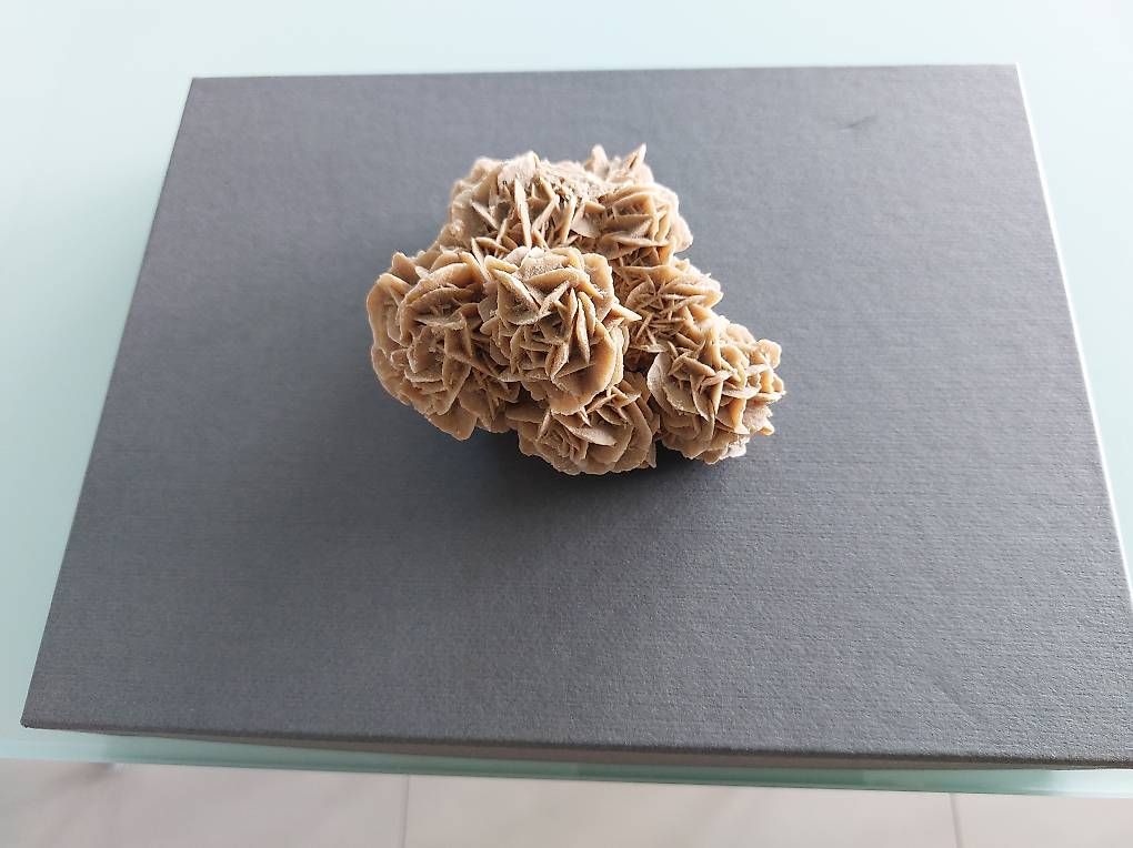 Mineralien & Heilsteine: Rose des sables du Sahara tunisien  – Gebraucht aus Martigny von paquito60