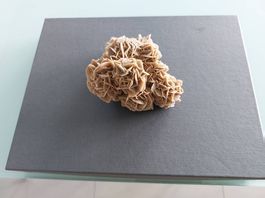Rose des sables du Sahara tunisien 