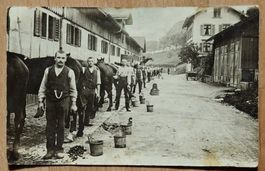 Ansichtskarte Frauenfeld 1910 Militär Pferde gelaufen