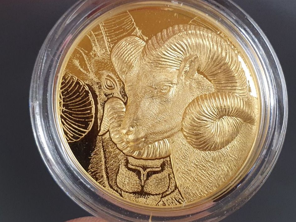 Tutti le monete: Goldmünze  CIt Mongolei  Argali – Nuovo e nell'imballaggio originale da Greppen venduto da hploetscher 6