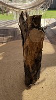 Oliven-Holzstamm natur belassen guter Zustand