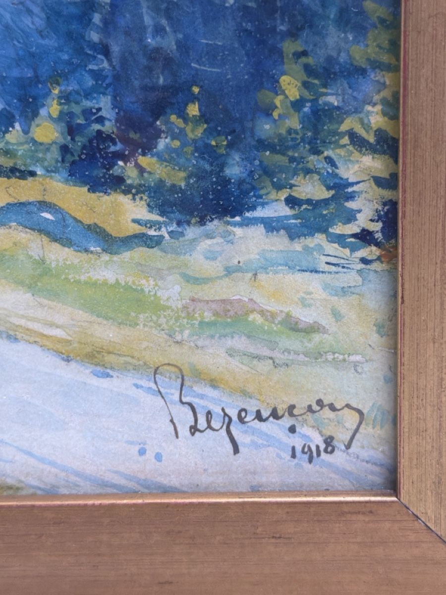 Dipinti: Aquarell antik, signiert – Usato da Biberist venduto da Momo33 4