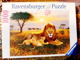 Puzzle 1000er Ravensburger Löwen Könige der Serengeti