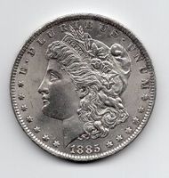 (93) USA, 1 Dollar 1885, top stgl