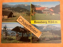 1989. Rossberg 1134 m