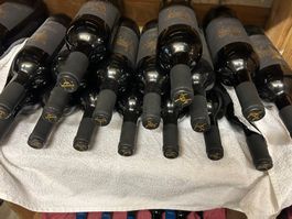 Terra D'Uro El Primero Toro 2012 - Spanischer Rotwein!