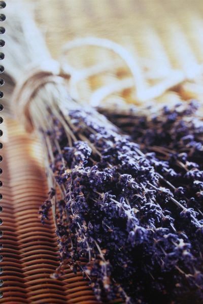 Libri: Kulinarische Ferienträume – Nuovo (secondo la descrizione) da Zürich venduto da Gabced 5