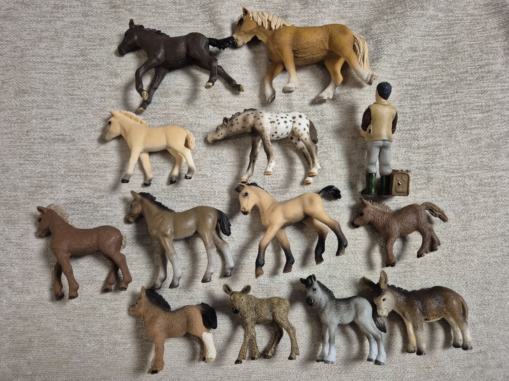 Schleich Statuette: Schleich Pferde Figuren Set 13-teilig  – Nuovo (secondo la descrizione) da Fehraltorf venduto da Joggel3 2