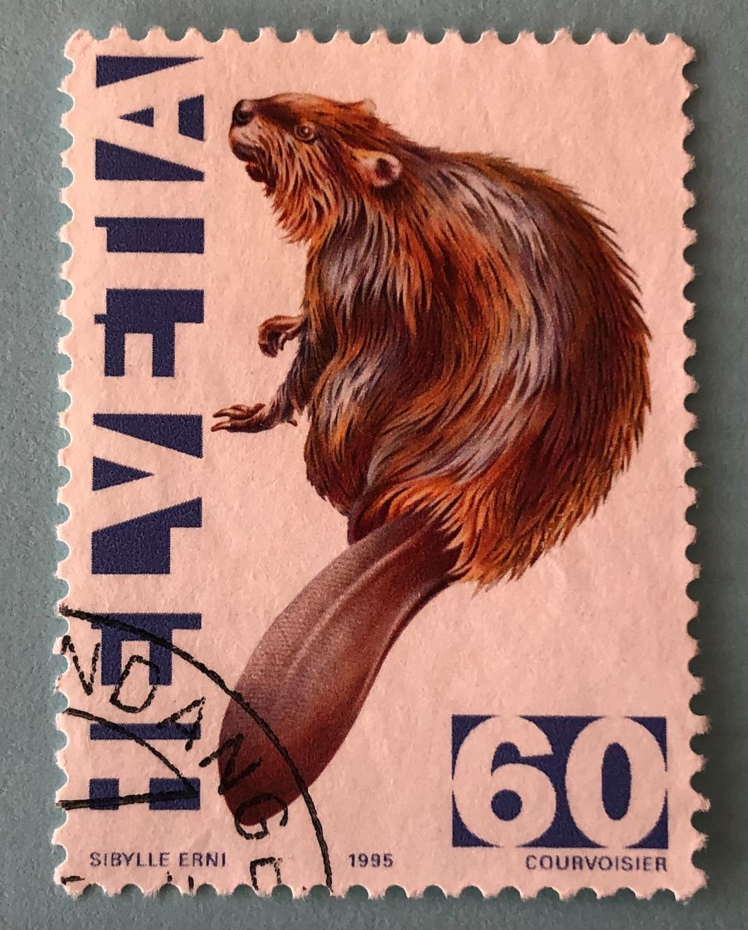 Tutti i francobolli: Zst.Nr.876 GESTEMPELT 1995  – Usato da Aarau venduto da Billa007