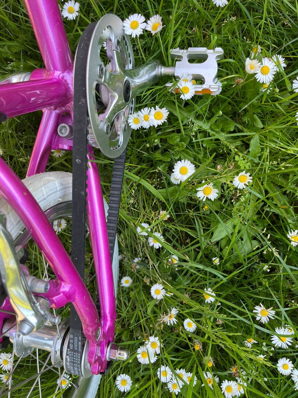 Vélos: Livi Kindervelo 16' – D'occasion à Binningen par fabzer 4