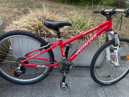 Specialized Hotrock Kinder Fahrrad 24 Zoll rot guter Zustand