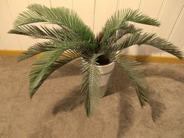 Palm Farn Kunstpflanze Deko Kunstpalme Glas Vase Topf Sand