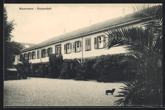 Ansichtskarten: AK Mammern, Dackel vor der Kuranstalt – Gebraucht aus Berlin von bartko-reher
