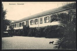 AK Mammern, Dackel vor der Kuranstalt