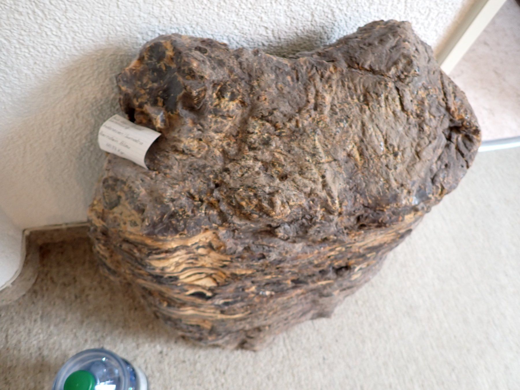 Fossili: Bernstein GIGANT 40 KG  Indonesien – Usato da Wallisellen venduto da Mf1000 2
