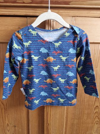 Langarmshirt Dinosaurier von der Marke säubergmacht Gr.74/80