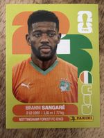Panini CIV 12