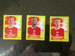 Panini World Cup 2026 (swiss edition) CAN Kanada