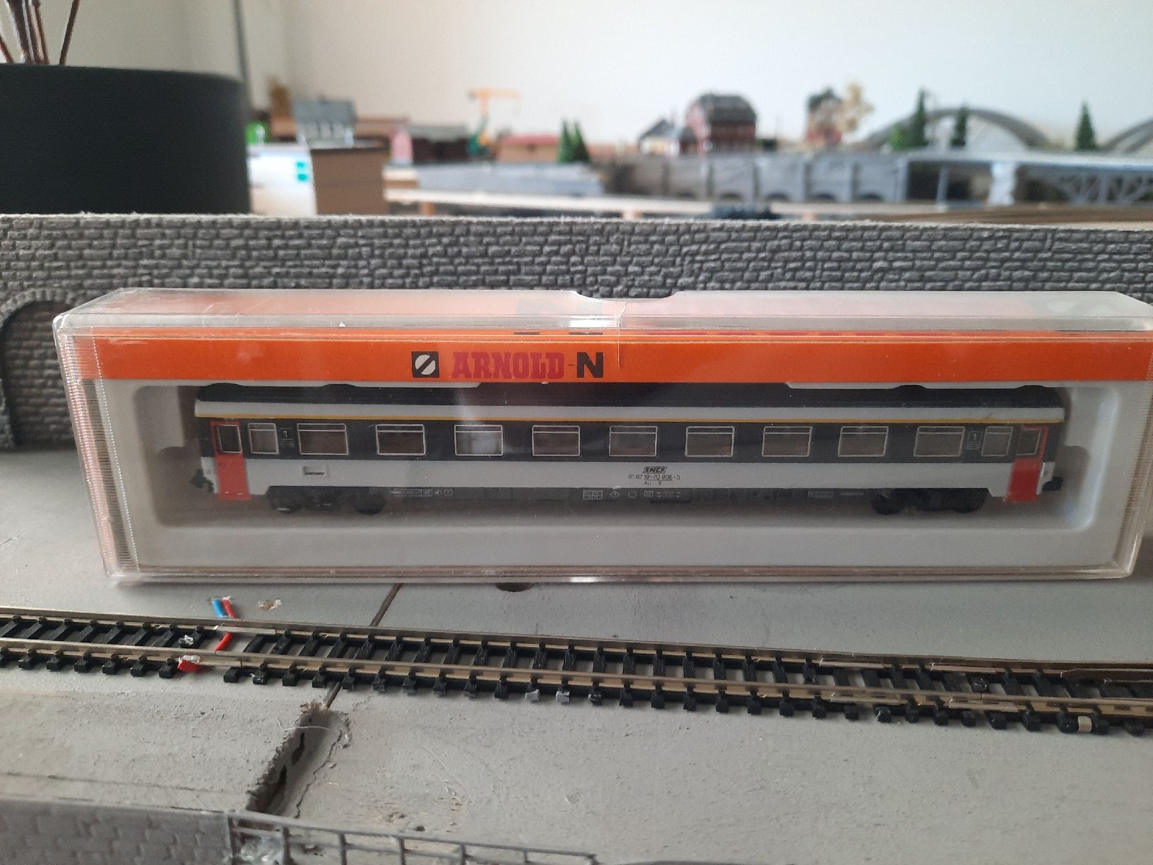 Arnold Modellini di ferrovie: arnold – Usato da Les Evouettes venduto da mar_pp2b