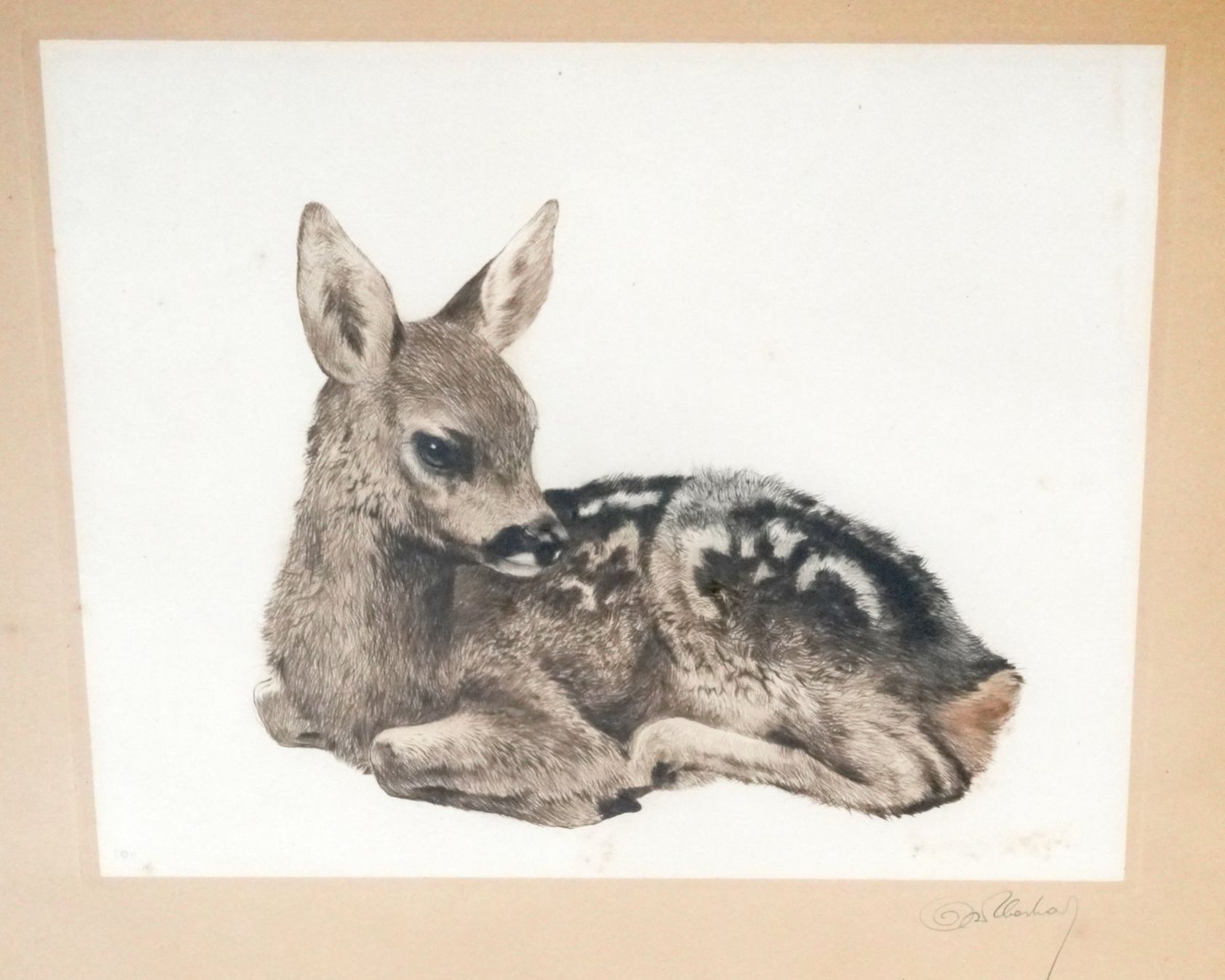Gemälde: Tierbilder – Gebraucht aus Walenstadt von pedroju-1 1