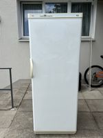 Gefrierschrank 