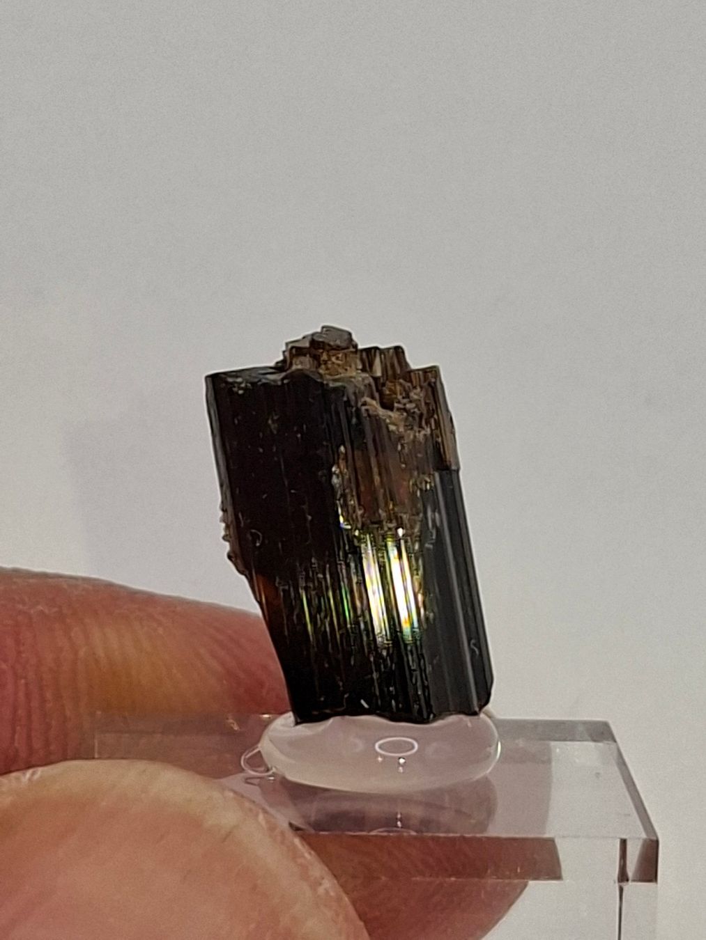 Minerali & Pietre curative: toller Vesuvian - Einzelkristall mit intakten Kristallfläche – Usato da Brunnenthal venduto da Strahler67 5