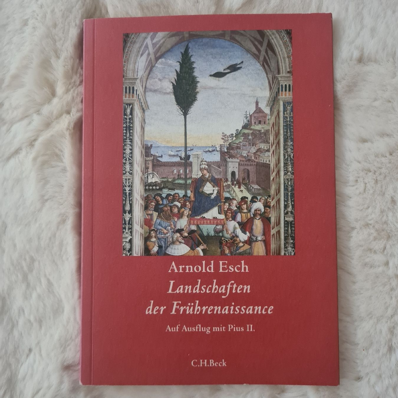 Libri: Landschaften der Frührenaissance von Arnold Esch – Usato da Horgenberg venduto da Klatschmohnmaria