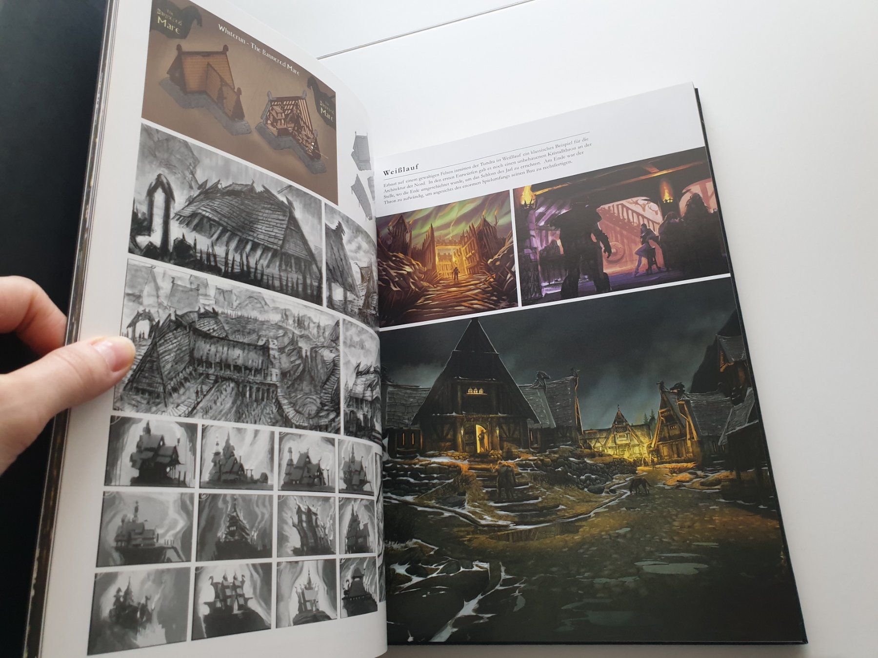 Libri: Skyrim Collectors Edition Artbook – Usato da Zürich venduto da pau_y8mv 3