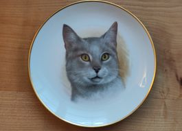 Kartäuser Katze Teller 19cm von Ottinger Sevelen CH