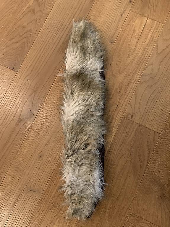 Giacche: Zara Daunenjacke XS – Usato da Oberlunkhofen venduto da weininchen 3