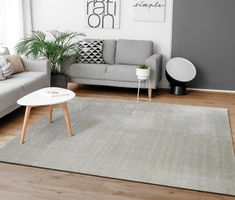EINZELSTÜCK zum SONDERPREIS Teppich Super Soft GREY 240x340