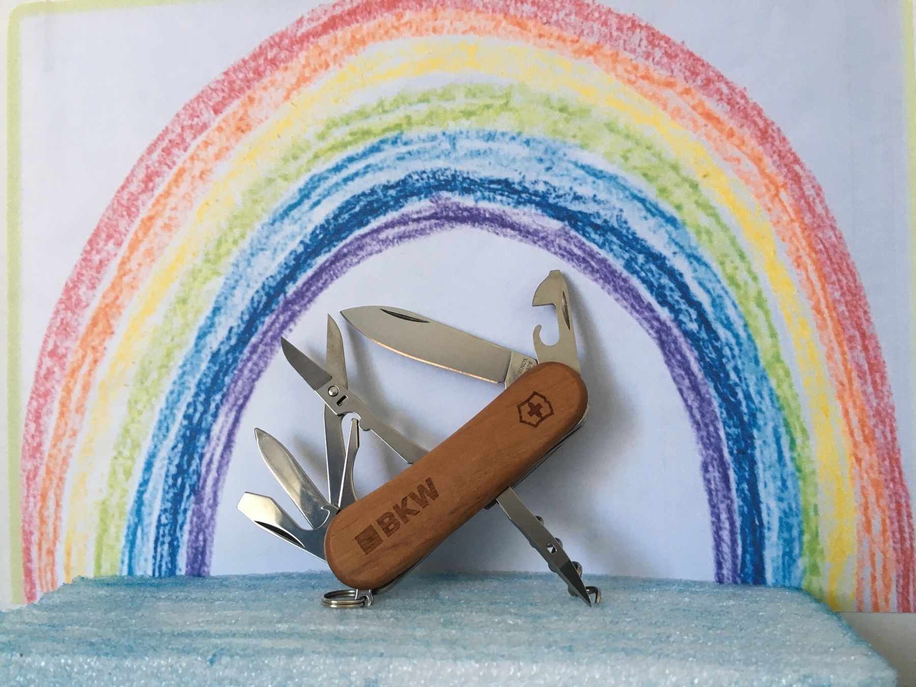 Victorinox Coltelli tascabile: VICTORINOX - Evolution Wood - Sackmesser - BKW – Usato da Andwil SG venduto da Rainboli 4