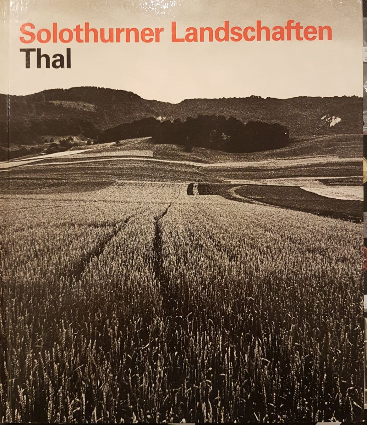 Libri: Solothurner Landschaften - Thal – Usato da Balsthal venduto da Palcivalle