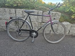 Fahrrad Velo Citybike 