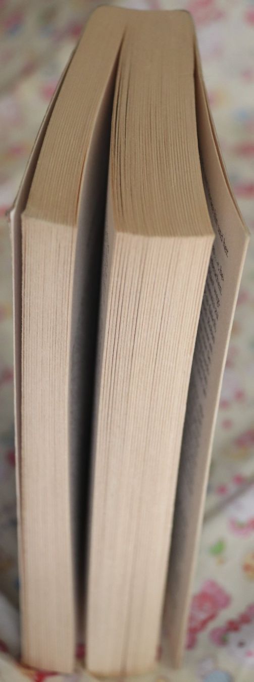 Libri: Die Templerin von Wolfgang Hohlbein – Usato da Glattfelden venduto da Vrenely 3