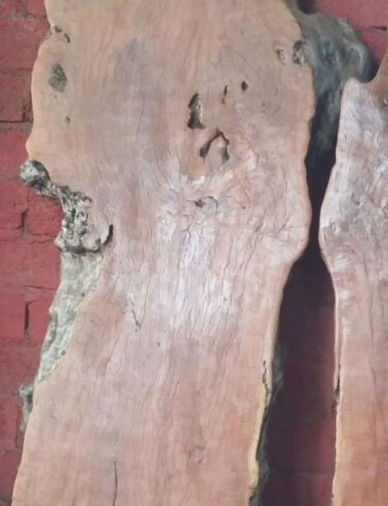 Tische: Tisch Baumscheibentisch Longan Holz Esstisch Gartentisch – Neu und originalverpackt aus Daisendorf von Wohn-Kult 8