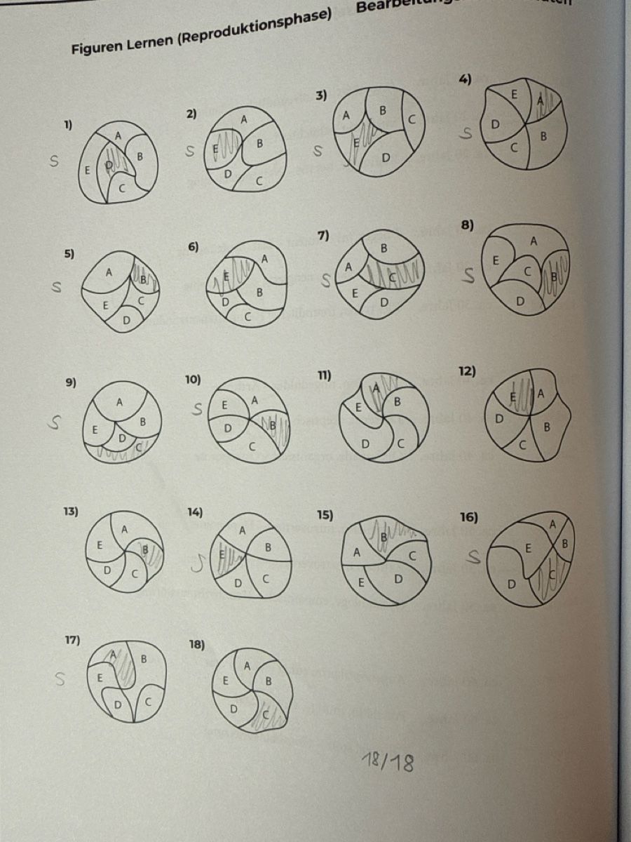 Libri: Numerus Clausus Vorbereitungsbücher – Usato da Zürich venduto da leo_vm8z 7