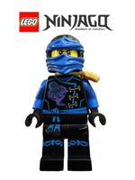 Lego Ninjago Jay njo0248