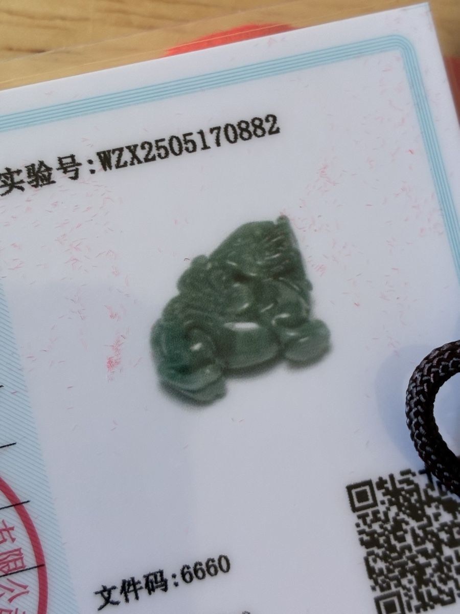 Figuren: Chinese jade talisman figure dragon – Neu und originalverpackt aus St-Aubin-Sauges von asianart 4